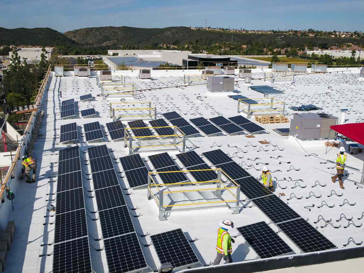 Leadership in Solar Award 2023