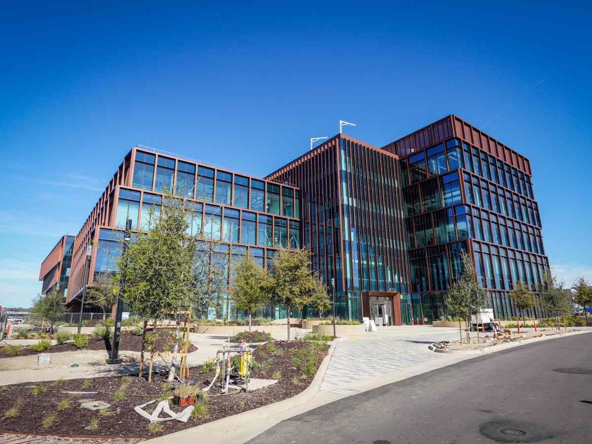 Bristol Meyers